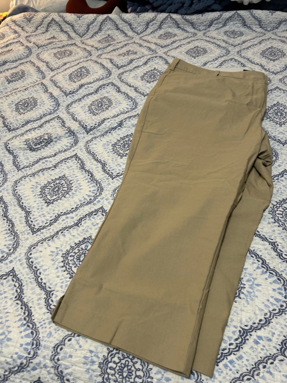 Lane Bryant Beige/Tan Chino Pants